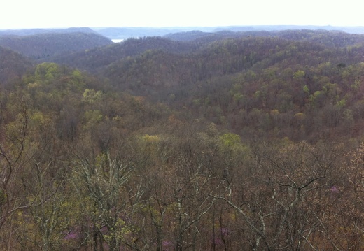 Lockegee Rock and Cave Run Lake